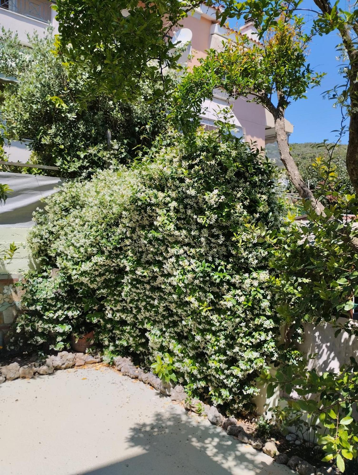 Strati'S Place PalaiónTsiflíkion エクステリア 写真